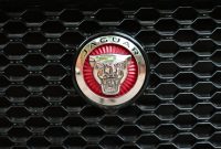 Detailed shot of the Jaguar logo on a car grille. Perfect for automotive themes.